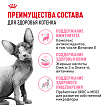 Royal Canin Sphynx Kitten Корм сухой сбалансированный для котят породы Сфинкс до 12 месяцев, 0,4 кг
